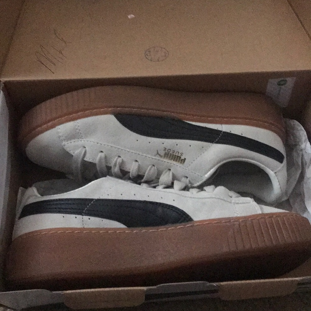 Puma fab
